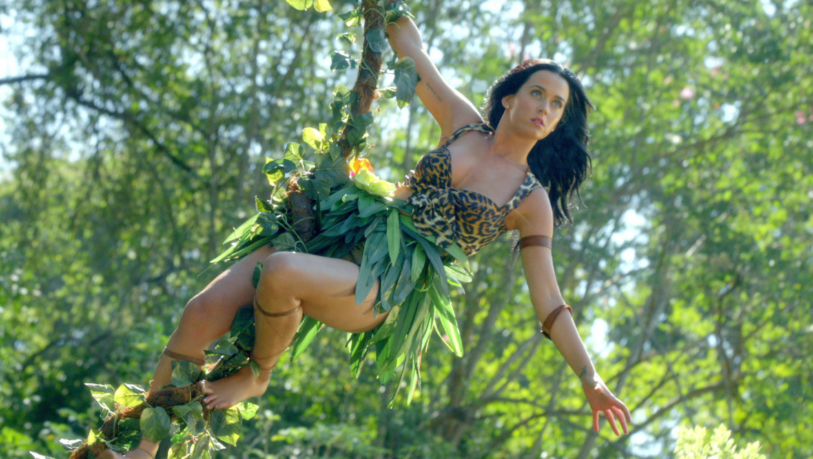 Katy Perry Roar Jungle Costume 0388