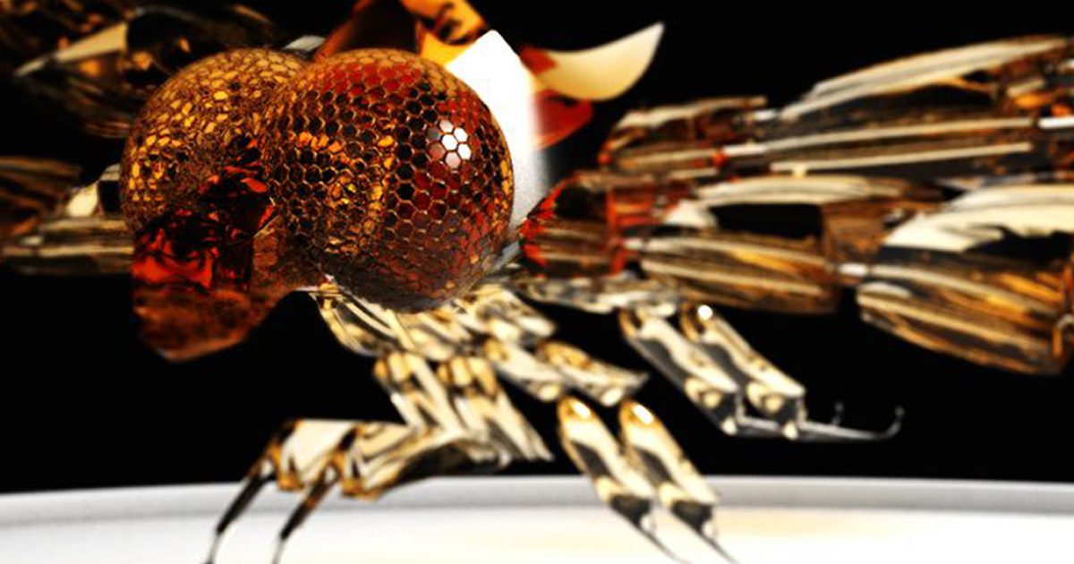 Pyrrhosoma