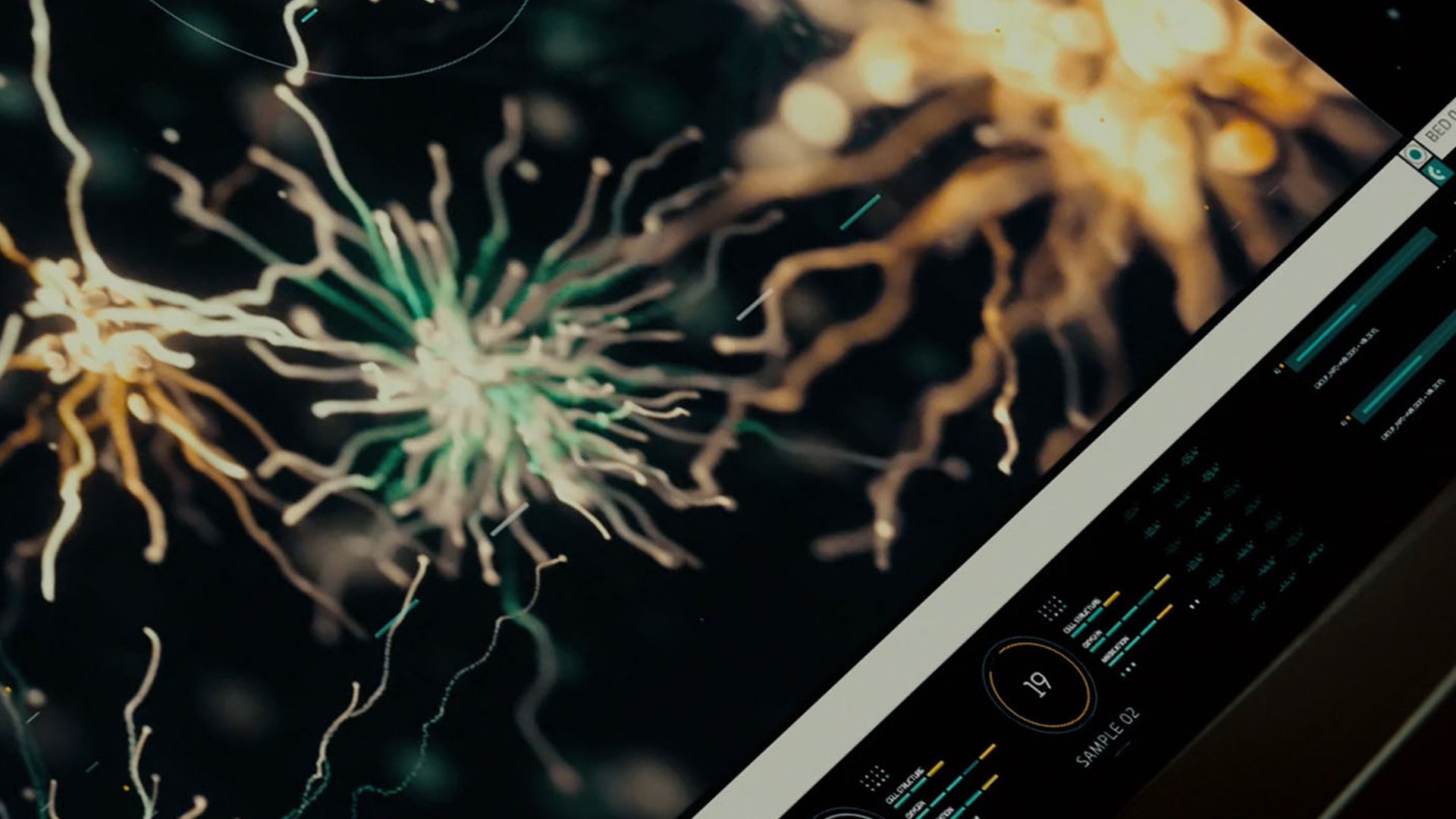 Trapcode, preview 3